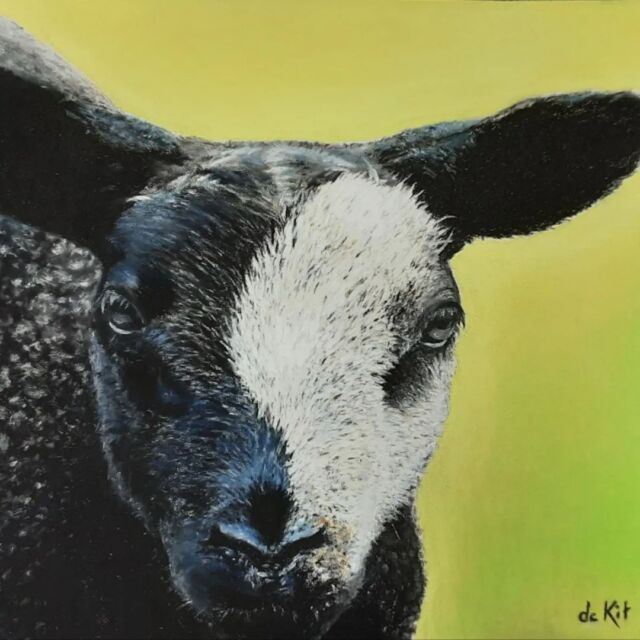 The Phantom of the Opera. It is finished and I made somebody very very happy with this painting of his lamb.
___

#lamb #lambpainting #lambart #kunstenaar #dutchartist #artrealistic #realisticart #realisticartist  #realistic_drawing #realisticanimal #realistic_arts #pastelpainting #pastelpaintersofinstagram #pastelpainter #softpastelpainting #pastel_together #pastels #myart #pastelseco #kunstwerk #pastelliste